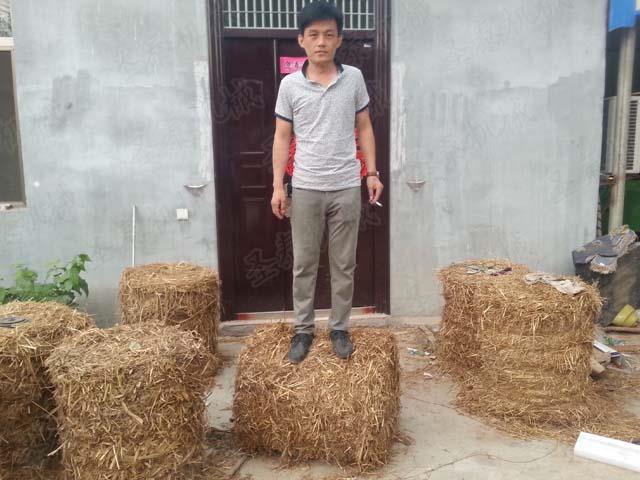 稻草撿拾打捆機(jī)的使用增加農(nóng)民收入，打好后的草捆易于銷售