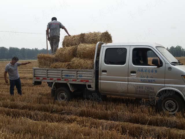 定期檢查打捆機(jī)動(dòng)力樞軸彈簧，保持彈簧的長度為68毫米