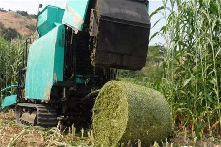 分別清洗秸稈打捆機(jī)水垢油垢 還應(yīng)注意相關(guān)細(xì)節(jié)